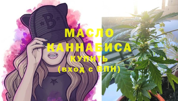 хмурый Каменка