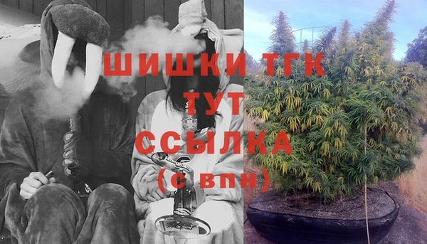 хмурый Касимов